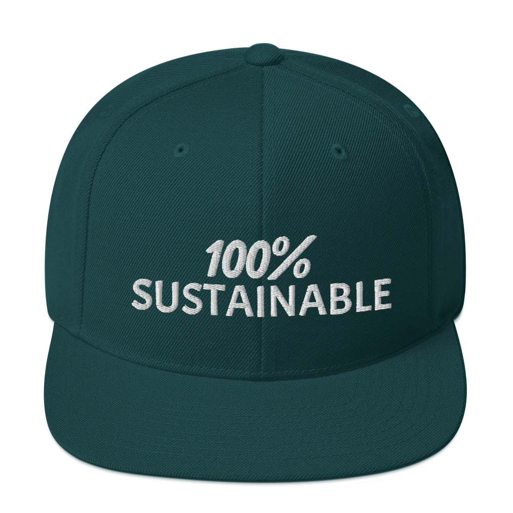 100% SUSTAINABLE Snapback Baseball Hat