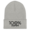 100% ASPEN Cuffed Beanie - 100 Percent Tee Company